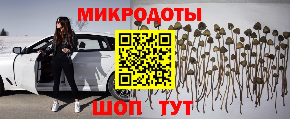 Псилоцибиновые грибы Magic Shrooms Кулебаки